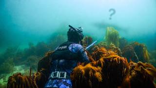 The Most Deadly Part of Diving in The UK