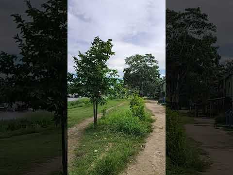 Leticia, Amazonas, #columbia #amazon #travel #travelvlog #trending #viral #viralvideo #viralreels