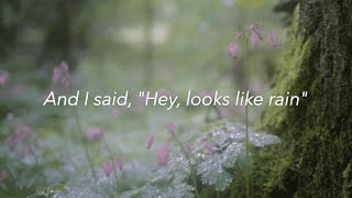 Passion Pit Looks Like Rain lyrics