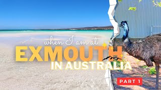 【5泊6日ロードトリップ】《Part1》 Wooramel~Exmouth~Kalbarri