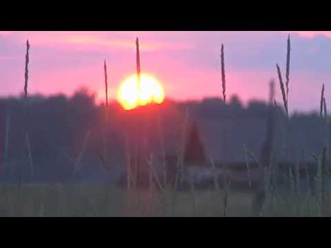 One Minute Videos: Dreamlin - Ostrov