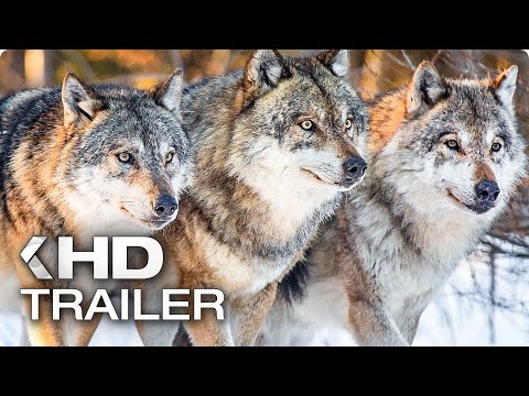 YELLOWSTONE NATIONALPARK Trailer German Deutsch (2018)