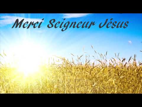 Le Travail de Jésus-Christ après l'Oeuvre de la Croix : Henri Viaud-Murat (Source de Vie)