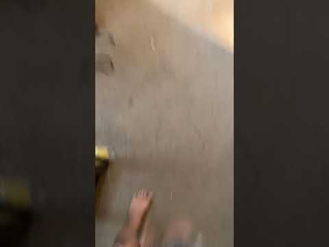 Backyardigans episode 13 quest for the flying rock songs