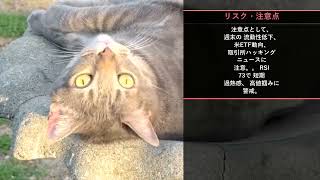 本日の投資注目TOP10【8/31 9:00】
