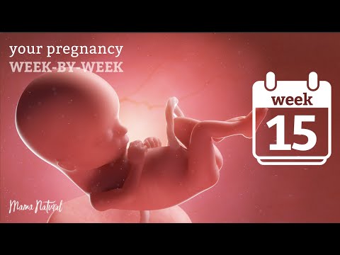 15 Weeks Pregnant - Natural Pregnancy Week-By-Week