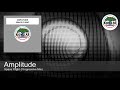 Amplitude - Space Flight (Progressive Mix)