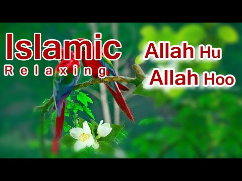 Islamic relaxing kalam allah hu allah hoo