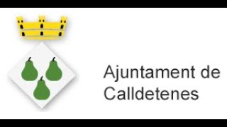 Ple Ordinari Ajuntament de Calldetenes 01/03/2021 a les 20.30 h