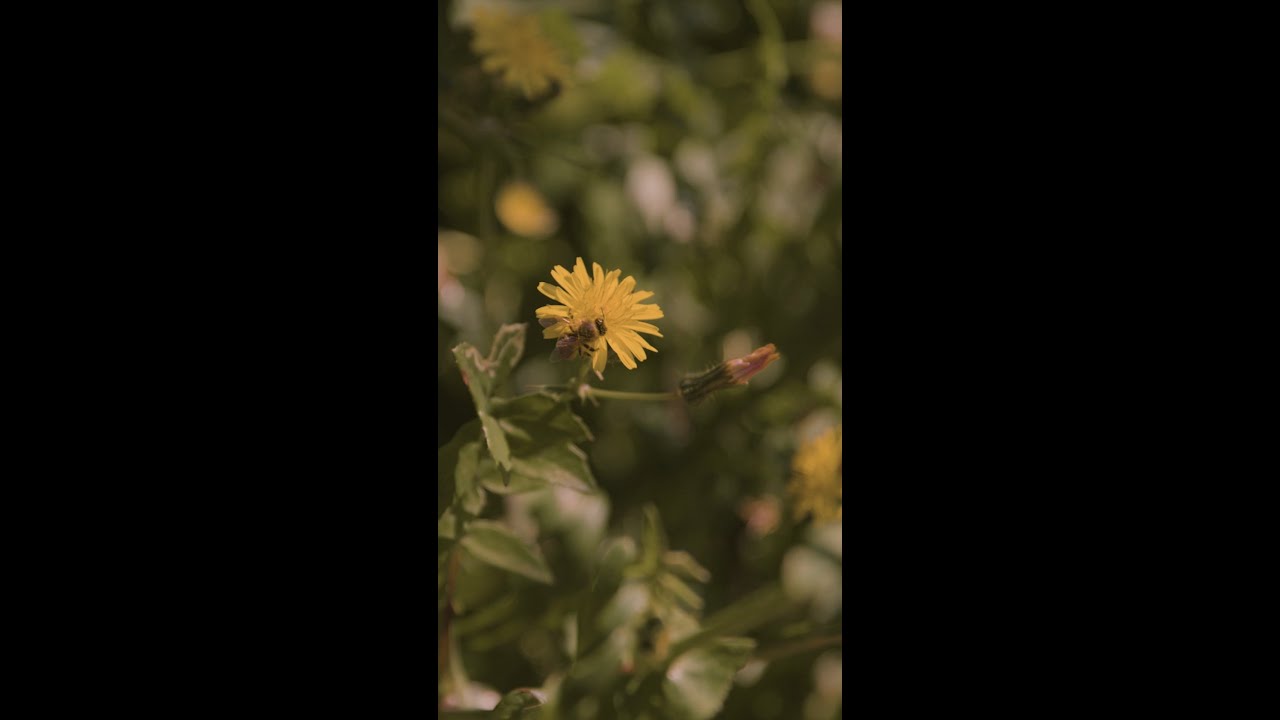 Discover what fresh produce is in season when you #VisitMalta ☀️💚