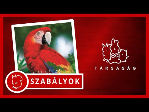 Amazónia | Játékszabály - Társaság Társasjáték