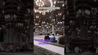 Download lagu Doa penenang hati #ceramah #dakwah #doa #masjidnabawi #shortsfeed #shorts mp3 Download lagu Doa penenang hati #ceramah #dakwah #doa #masjidnabawi #shortsfeed #shorts mp3