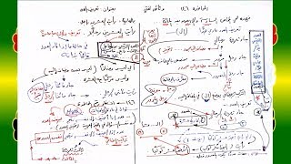 صورة 146 √ تعريف العدد