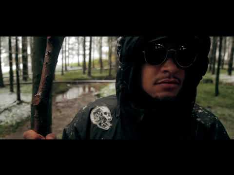 download lagu mp3 mp4 Transdanubia, download lagu Transdanubia gratis, unduh video klip Transdanubia