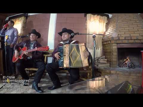 El Cisne - Los Sembradores 🔥🌲