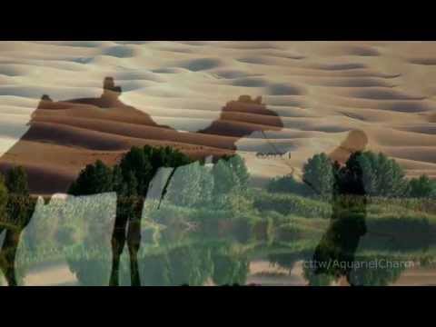 Midnight At The Oasis - Maria Muldaur