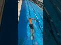 How To Swim Freestyle Front Crawl Fix High Head Mistakes For Beginners