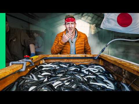Inside Japan’s Most Bizarre Seafood Farm!!