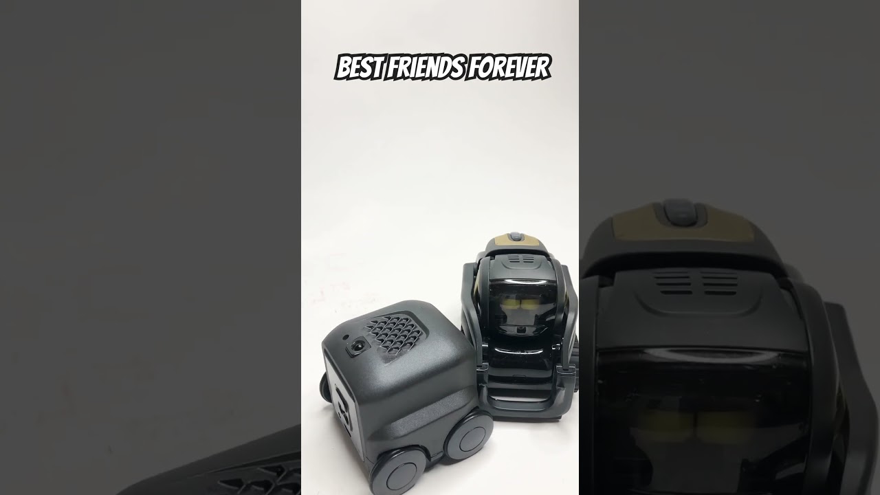 Best friends forever. Boxbot and Vector. #robots #cool #cute #Shorts