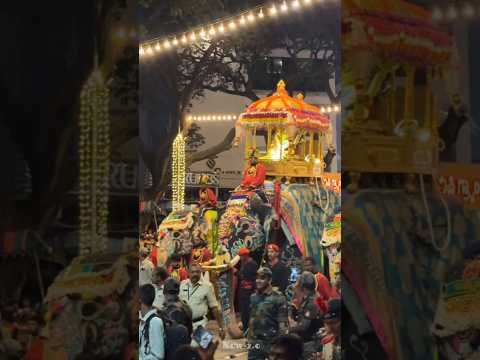 Dasara : jamboo Savari 2024❤️‍🩹 #dasara #mysore #ambari