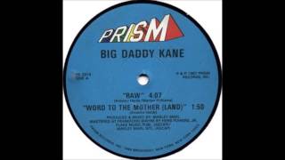 Big Daddy Kane Raw Dubapella