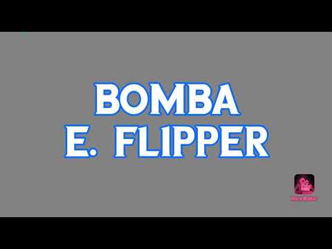 BOMBA E FLIPPER