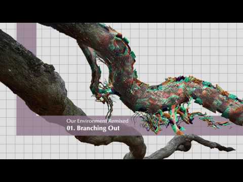 Iszlai - Our Environment Remixed: 01 - Branching Out