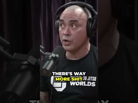 DMT reality revealed