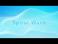 Spiral Wave: Fundamentals of Qi Gong & Tai Chi Chuan