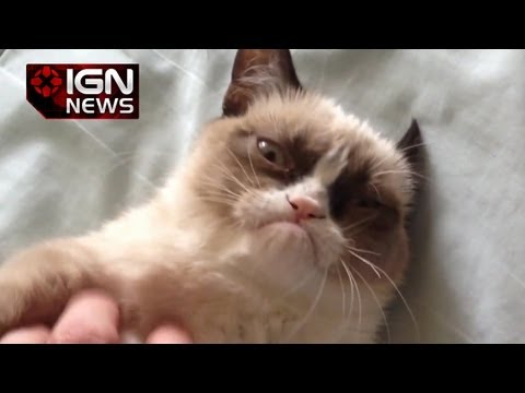 IGNニュース - グランピー・キャットの地の映画の契約 (IGN News - Grumpy Cat Lands Movie Deal)