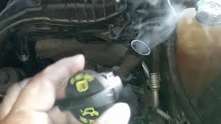 2011 Dodge Charger smoke test. CODE P0456