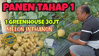 Download lagu Panen melon exclusive inthanon tahap pertama di Greenhouse ManDiaz Chanel mp3