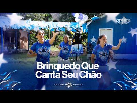 Brinquedo Que Canta Seu Chão - Boi Caprichoso