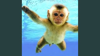 Cover art for El fin de nuestro mundo