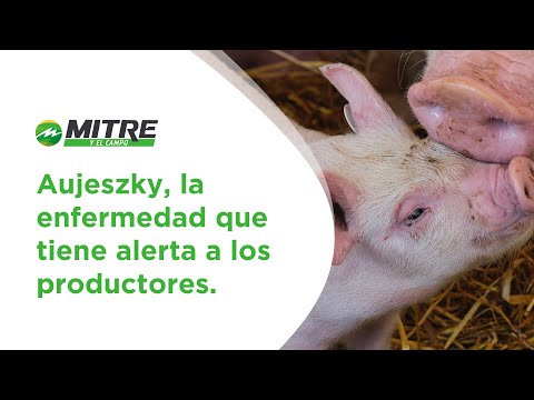 , title : 'Aujeszky al descubierto: La enfermedad viral que amenaza a cerdos domésticos y silvestres'
