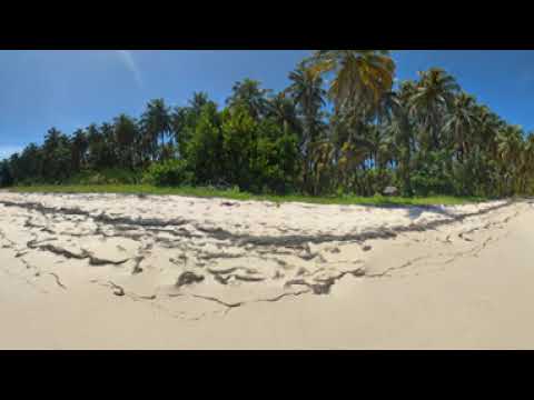 2026 Cayo Zapatilla 2 - Bocas del Toro, Panamá