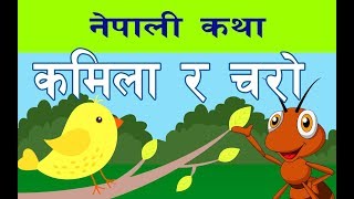 कमिला र चरा नेपाली कथा