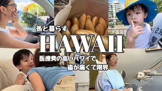 孫と暮らすハワイの日常/歯が限界でハワイの歯医者へ/孫2歳6ヶ月/#ハワイ 暮らし /家族vlog #family #hawaii #honolulu