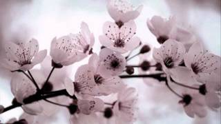 Caroline-Christa Bernard - Rien Pour Rien (Birkin)