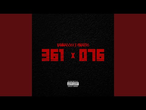 361/076