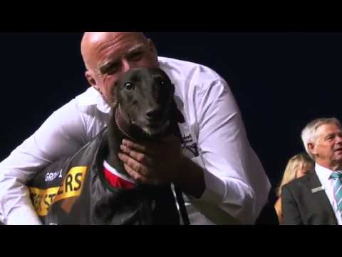 2018 Group One Super Stayers; another record for Fanta Bale