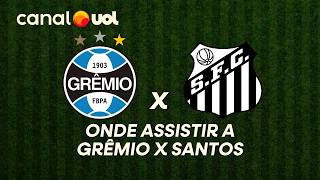 GRÊMIO X SANTOS : ONDE ASSISTIR À TRANSMISSÃO AO VIVO DO JOGO PELO BRASILEIRÃO