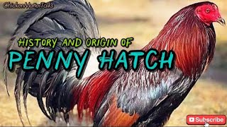 The Origin and History of Penny Hatch Bloodline 