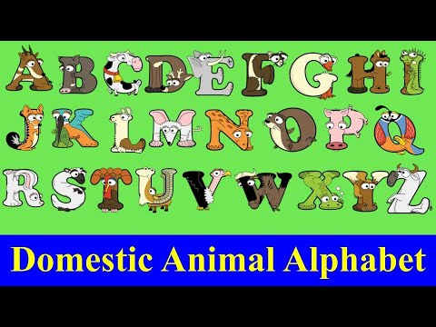 Domestic Animals for kids / Alphabet Animal A-Z / a-z pet animals / Alphabetimals ABC / Farm Animals