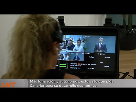 Más formación y autónomos, esto es lo que pide Canarias para su desarrollo económico