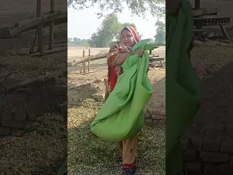 Punjabi village vlogger