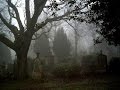 Tales of the Frightened: The Hand of Fate