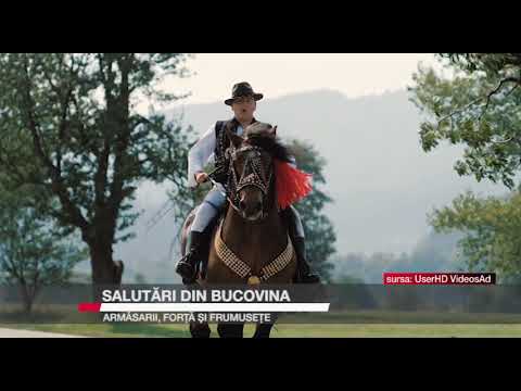 SALUTARI DIN BUCOVINA ARMASARII FORTA SI FRUMUSETE
