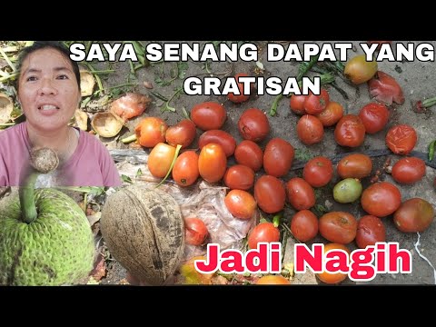 Ketemu ibu"Galak Ketika Meleles,Dapat Lelesan Kelapa Dan Buah Sukun Busuk Separuh
