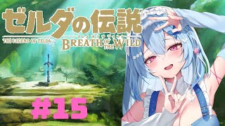 【ゼルダの伝説】 #15 人ちゃん谷へ行く！！　